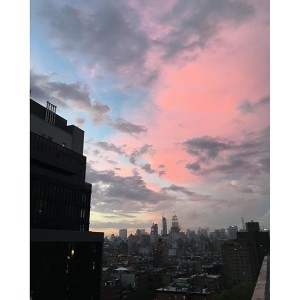 Newest Post