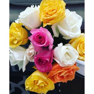 Newest Post