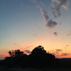 Newest Post