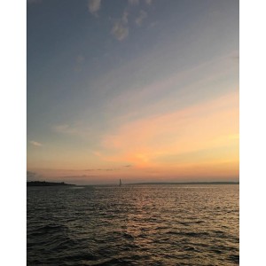 Newest Post
