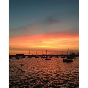 Newest Post